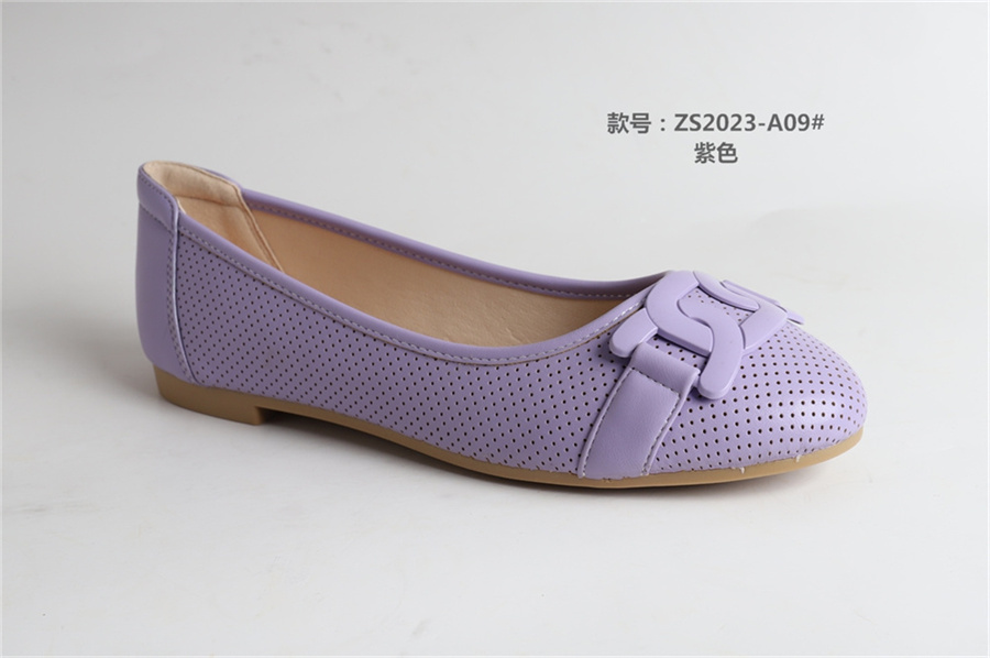 ZS2023-A09#紫色